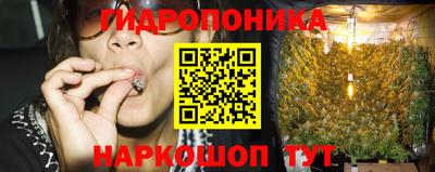 сатива Бузулук
